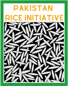 Pakistan Rice Initiative